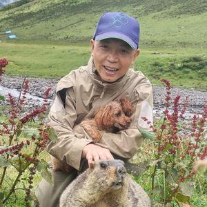 自在的飞鸿 头像