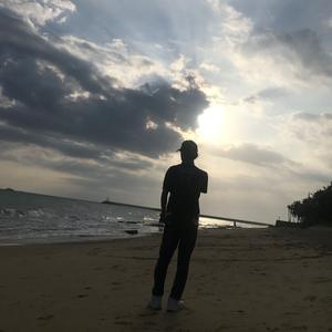 多米后期插件 头像