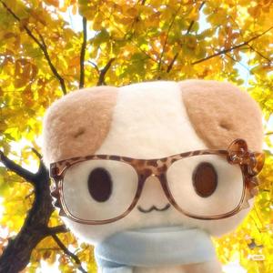 鱼小乐Asio 头像