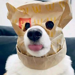 每天都有好心情陪你 头像