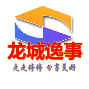 龙城逸事 头像