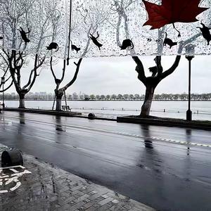 高山上眺望远方的人 头像