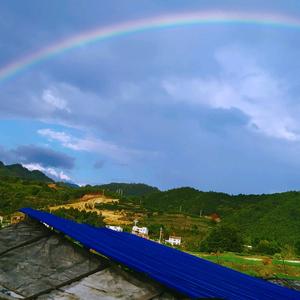 秋雨头像