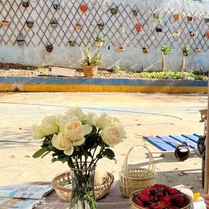 杨姐姐的小院 头像