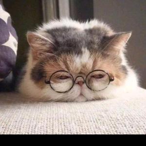 财神爷在此哦 头像